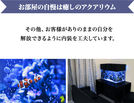 お部屋の自慢は癒しのアクアリウム